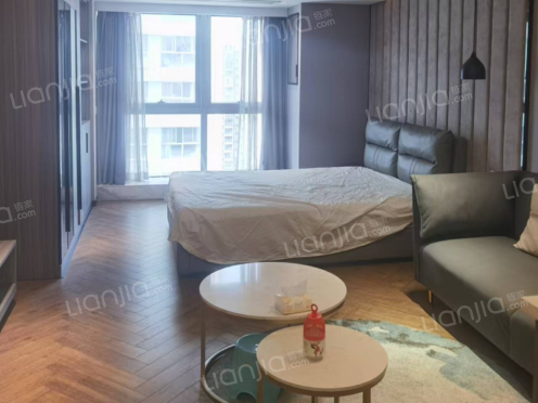 整租·江厦星光汇 1室0厅 东