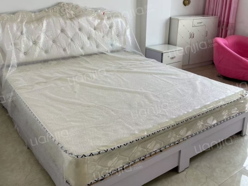 整租·百合春天 1室1厅 南