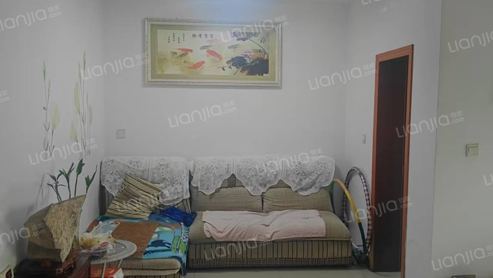 彩虹苑二手房实景图