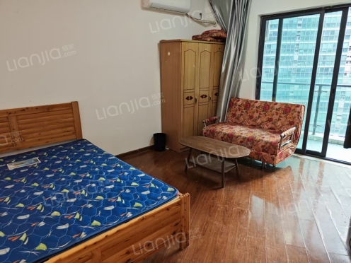 整租·东原ARC中央广场 1室0厅 南