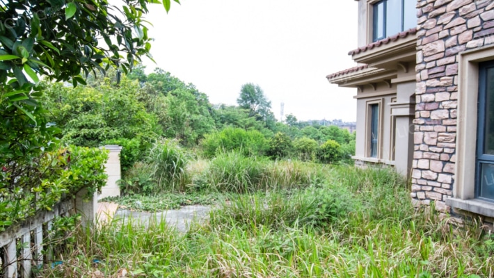 白晶谷5组团二手房实景图