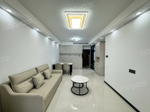 整租·城市天地小区 1室1厅 南