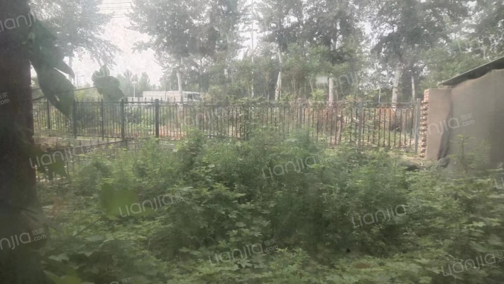 满五唯一别墅前后带小院，地上三层带露台-花园