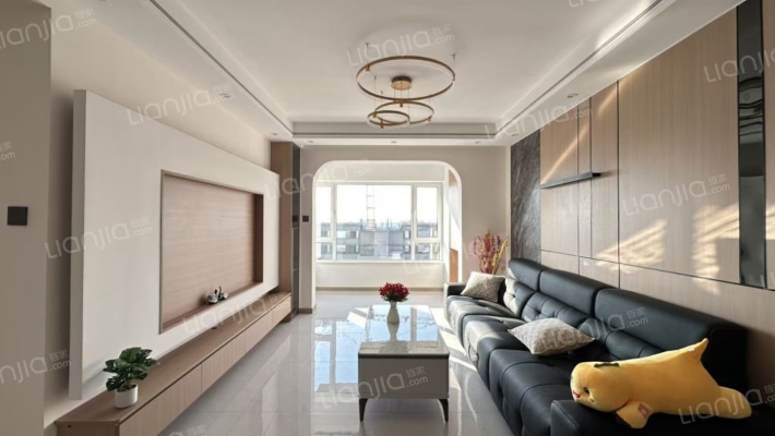 金科集美天宸二手房实景图