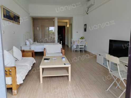 整租·观澜湖观邸 1室1厅 南