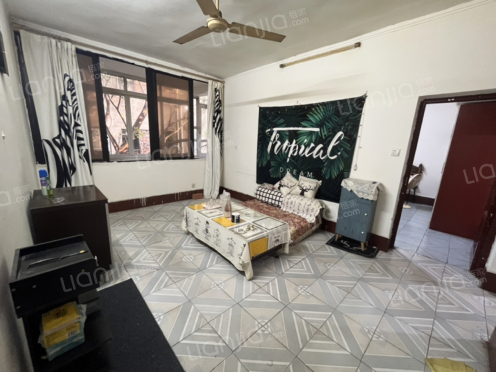 整租·衣服街 3室1厅 东南