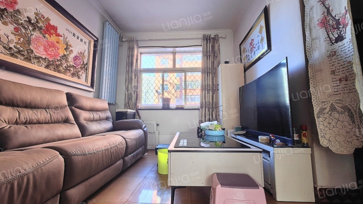 邱庄小区 一层带院 带小房 两居-客厅