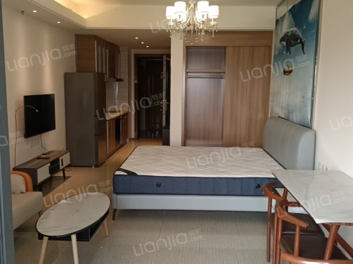 整租·恒大绿洲公寓 1室1厅 东