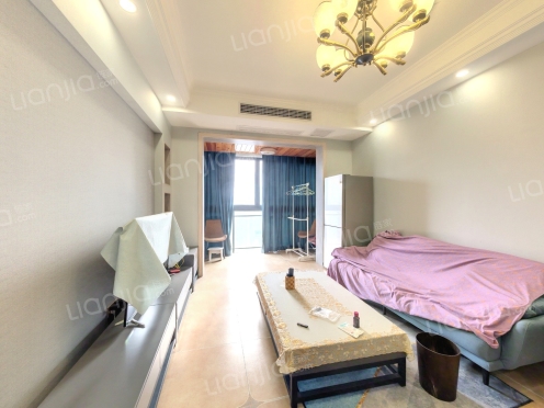 整租·星月湾 1室2厅 西北