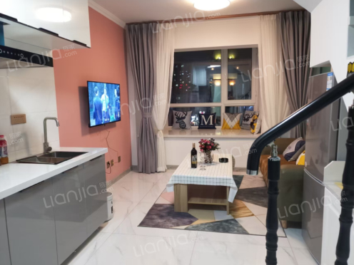 整租·金地·中央大街 1室2厅 南