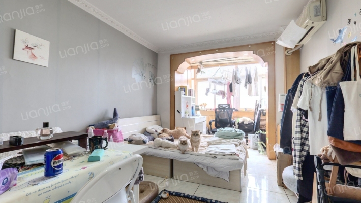 六场宿舍二手房实景图