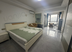 整租·新天地 1室1厅 南_新天地租房