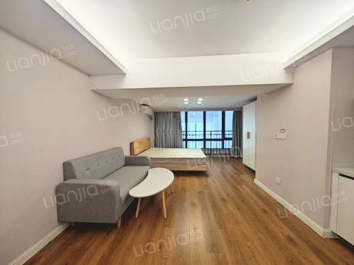 整租·滨海中心 1室1厅 南