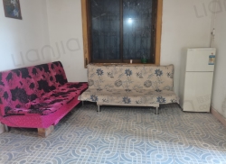 整租·育才路2号 2室2厅 南_育才路2号租房