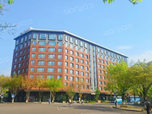 整租·桐福路61号 1室0厅 东南/南