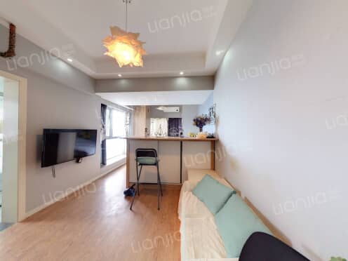 整租·华宇摩天 1室1厅 南