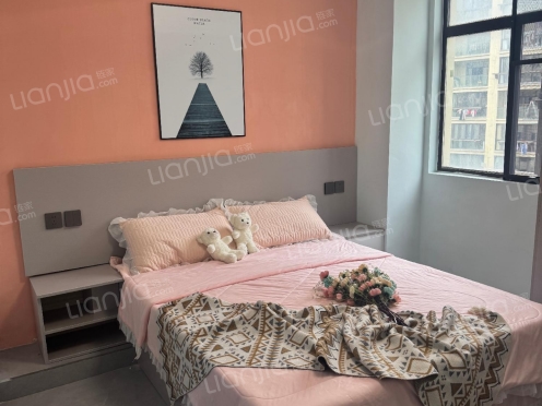 整租·瑶湖花园安置小区 1室0厅 南/北