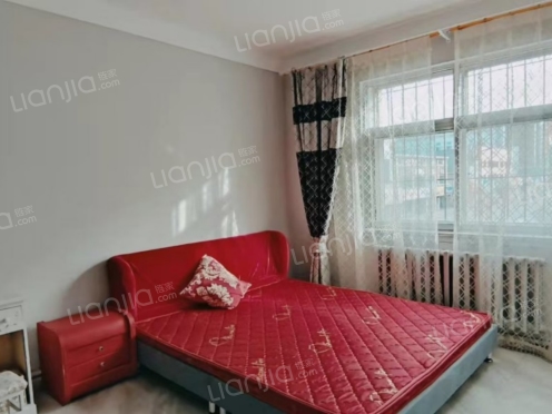 整租·大中房产钢28号 1室1厅 南