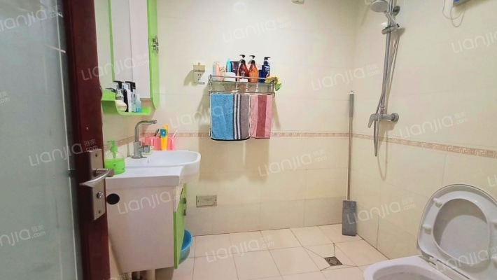 公园壹号  两居室  业主诚意出售-卫生间