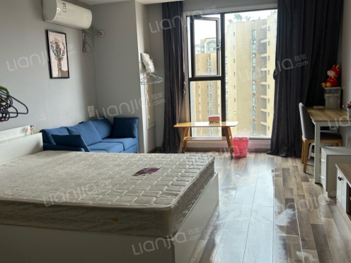 整租·中迪·国际社区 1室1厅 南