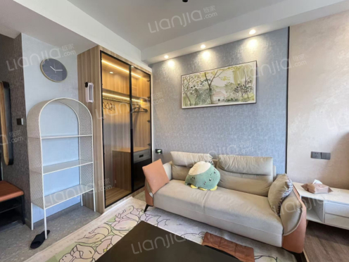 整租·滨江一号 1室1厅 南