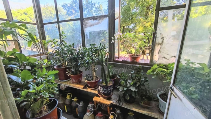 矿山局家属楼南院 2室1厅 南 北-阳台