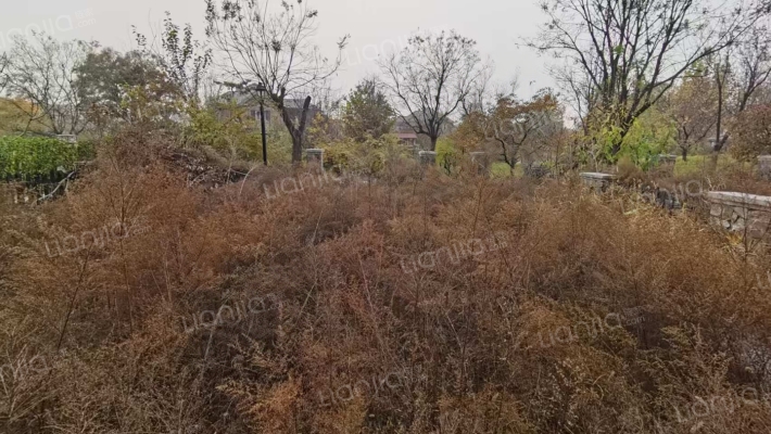 北京西南 京都颐和城264平南入户 大院子的联排别墅-入户花园