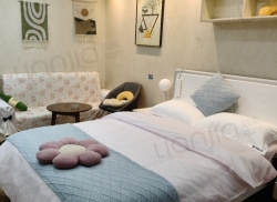 整租·步行街大厦 1室0厅 南_步行街大厦租房