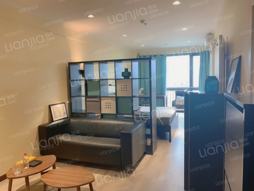 整租·龙湖水晶星座 1室1厅 东