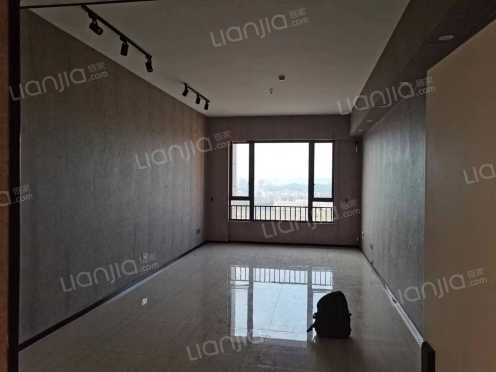 整租·荟金亚太经贸中心 0室1厅 南