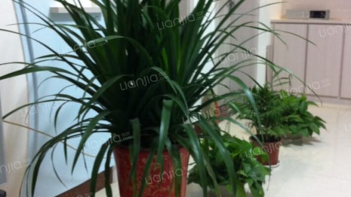 金岸花园二手房实景图