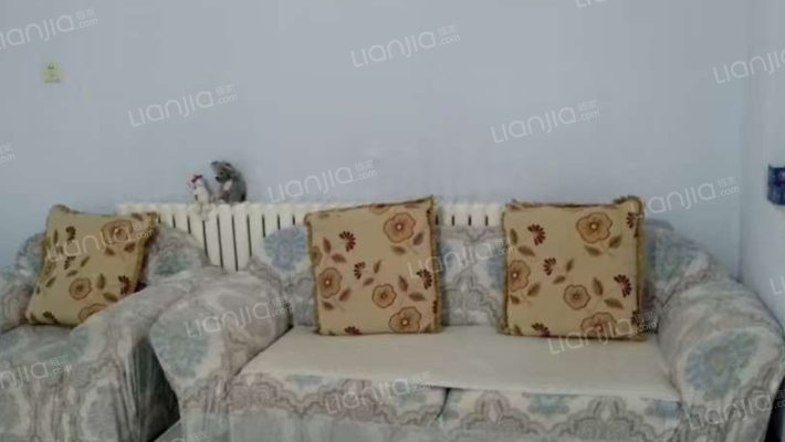 正道园小区二手房实景图