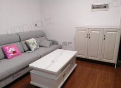 整租·熊猫绿岛 1室1厅 东南_熊猫绿岛租房