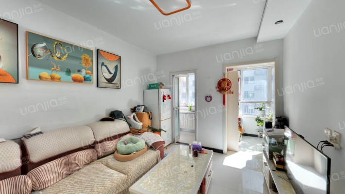 正规朝南一居室 华阳主路旁精装修 满五唯一-客厅