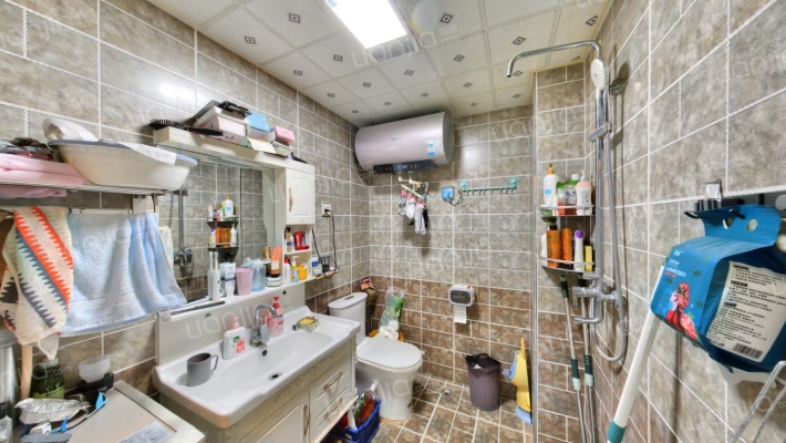 地质嘉园 3室2厅 南 北-卫生间