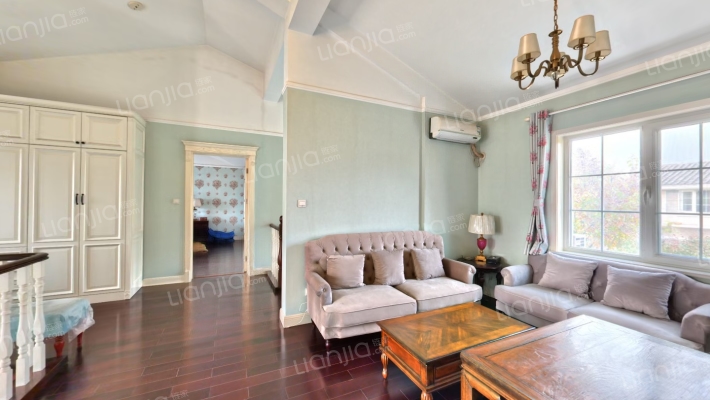 急售琉璃湖精致装修大独栋别墅，500平院子，价格美丽-客厅B