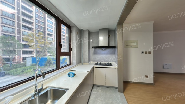 樾府现房 可贷款 三阳开泰户型 采光好-厨房