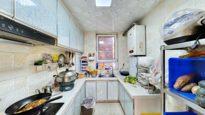 上园全南两居室  精装修  全天采光-厨房