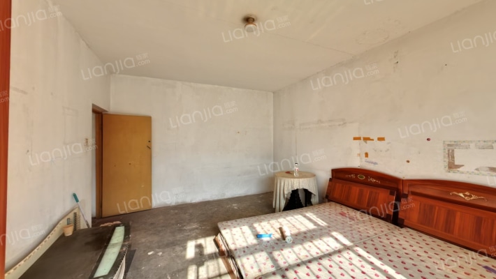 温馨小区 1室1厅 南-客厅