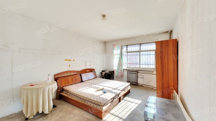 温馨小区 1室1厅 南-客厅