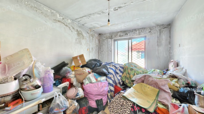 市区兴泰花园别墅 种菜的地方足够大！-卧室B