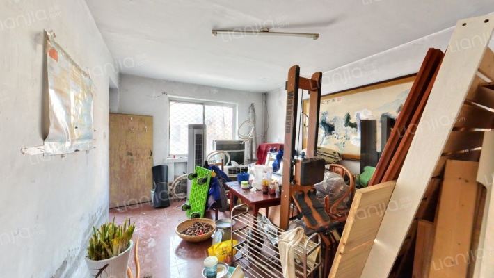 市区兴泰花园别墅 种菜的地方足够大！-客厅