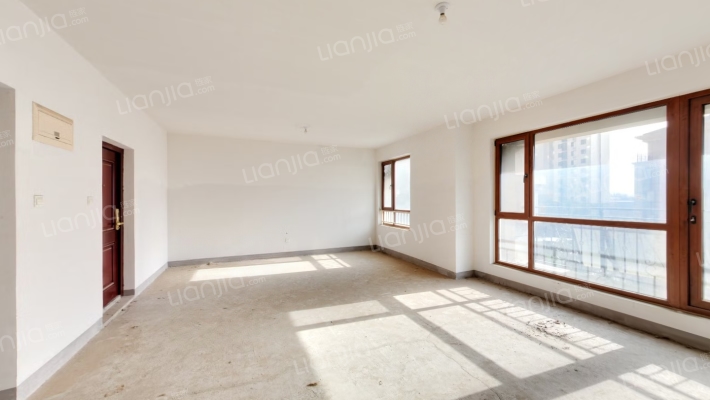 高铁新干线 一梯一户花园洋房，前后水系 采光好-客厅