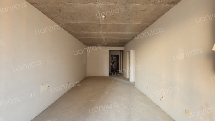 南向两居 全天采光 中上楼层 毛坯随意装修-客厅