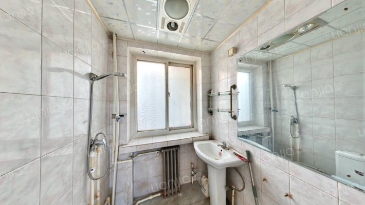 独栋别墅，边户，纯南大院子，方正，视野开阔。-卫生间A