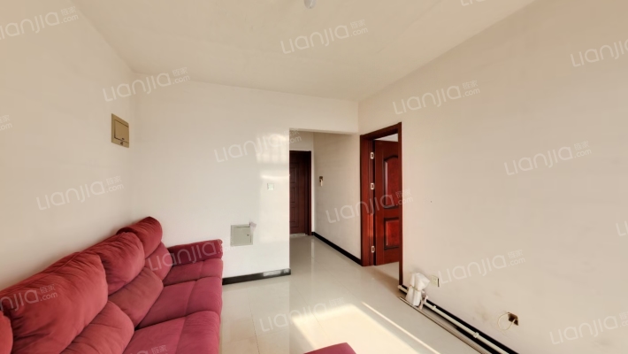 朝南正规一室一厅 简单装修 视野好 户型方正-客厅