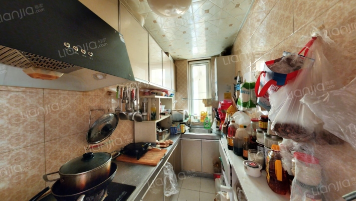 狮子城2居全南户型带装修诚意出售好楼层-厨房