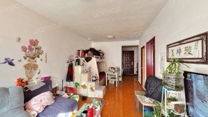 狮子城2居全南户型带装修诚意出售好楼层-客厅