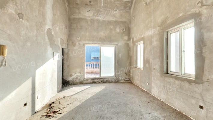 双拼别墅，南北通透一层大客厅，南北户型-客厅C