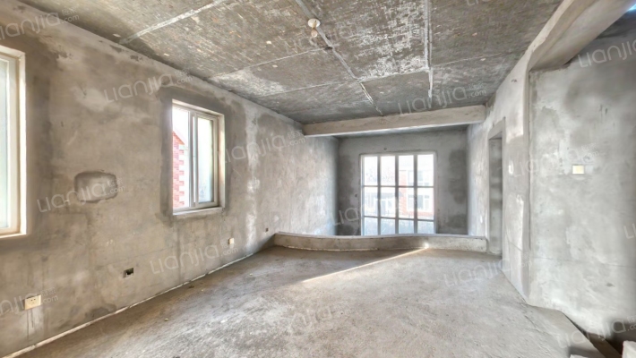 双拼别墅，南北通透一层大客厅，南北户型-客厅B